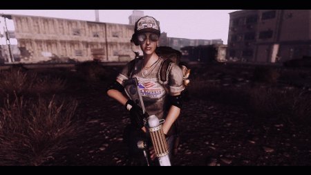 Fallout new vegas моды