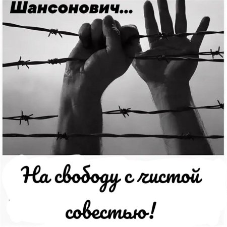 Политическая свобода