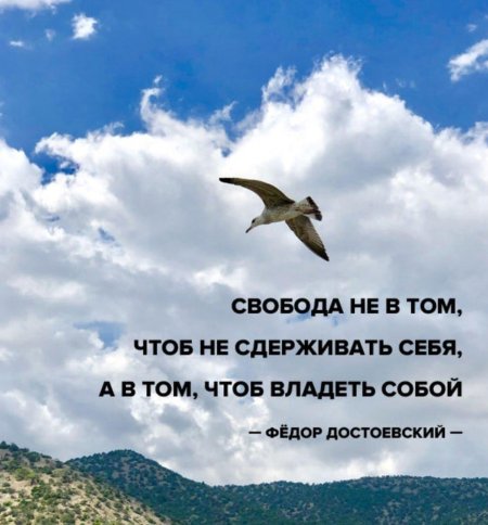 Свобода не в том чтобы сдерживать себя а владеть собой