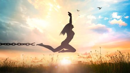 Свобода свобода