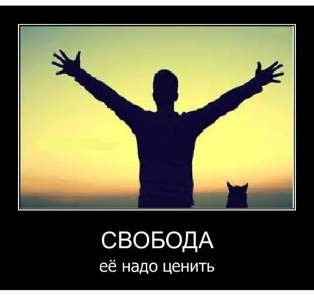 Свобода лучше