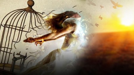 Птица вылетает из клетки