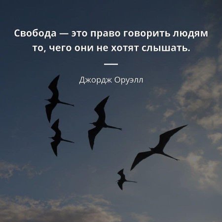 Птицы летят