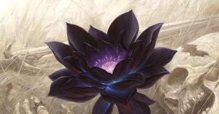 Стилизованные цветы