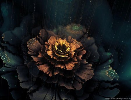 Темный фон цветы