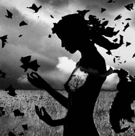 Силуэт девушек