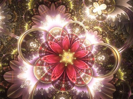 Цветы красивая