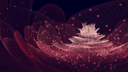 Сильвия кордедда фрактальная графика