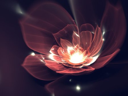 Волшебные цветы