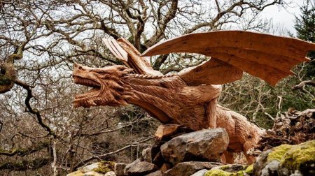 Дракон из дерева