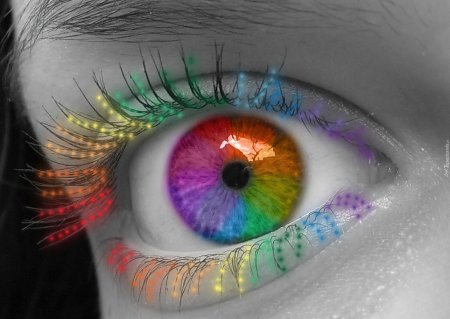 Праздник разноцветных глаз