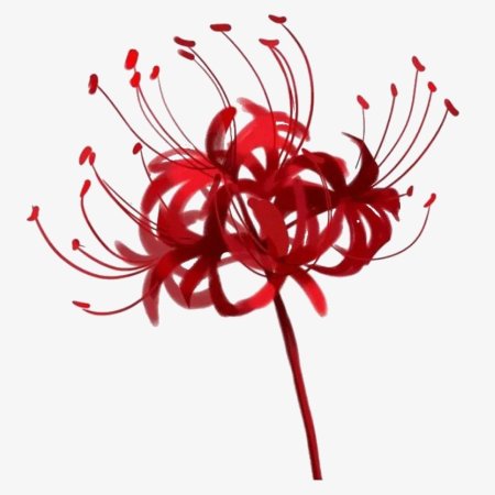 Ликорис паучья лилия токийский гуль