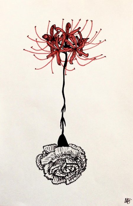 Хиганбана ликорис тату