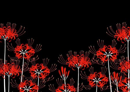 Цветок паучья лилия