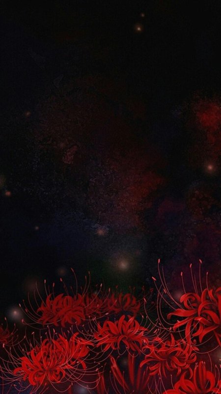 Ликорис лучистый