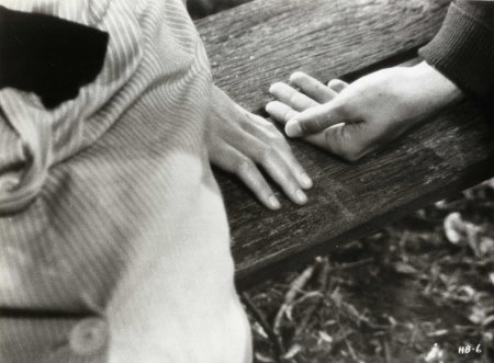 Руки влюбленных