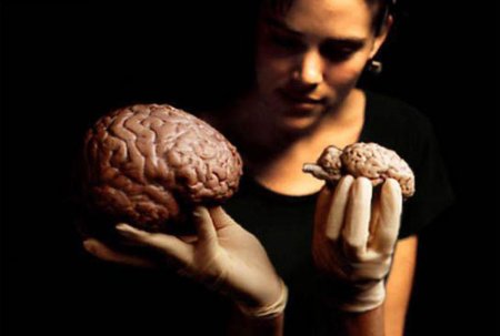 Мозг маленький