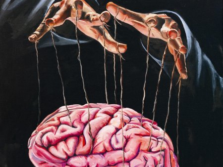 Человеческие мозги