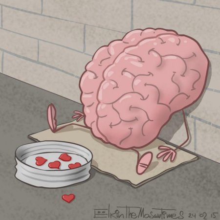 Мозг иллюстрация