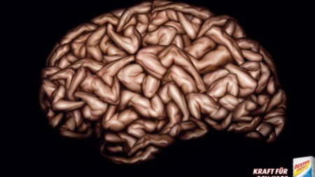 Мозг мужчины