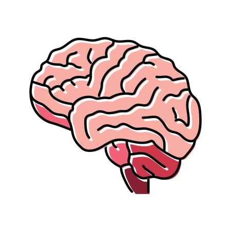 Мозг вектор