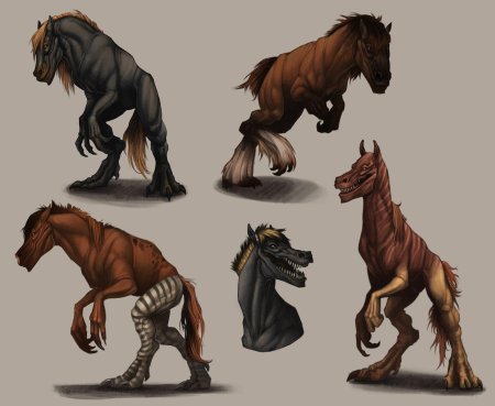 Келпи лошадь референс