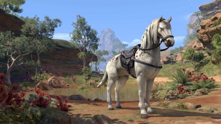 Ездовая лошадь