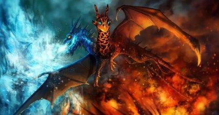 Дракон джакиро