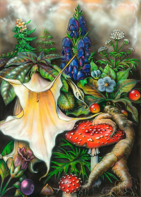 Олард диксон мистерии мухомора