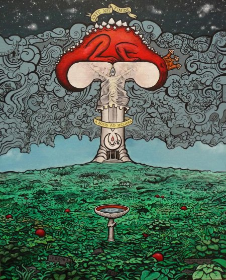 Грибы пришельцы