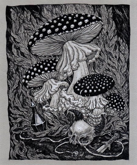 Грибы графика