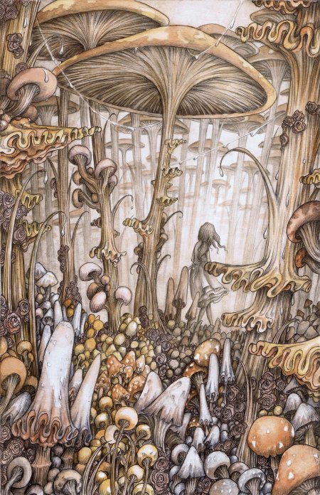 Фантастические грибы