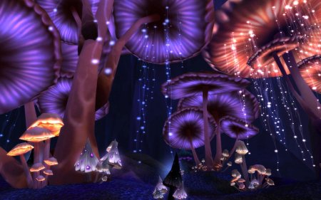 Волшебные грибы