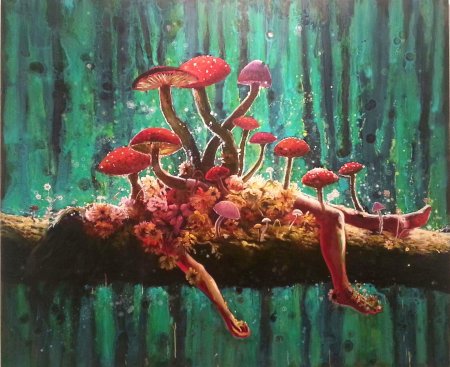 Аманита мускария психоделика