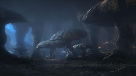 Journey to the center of earth