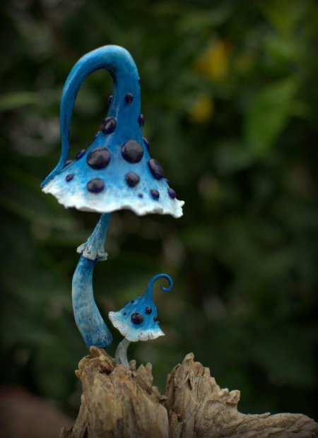 Гриб из полимерной глины