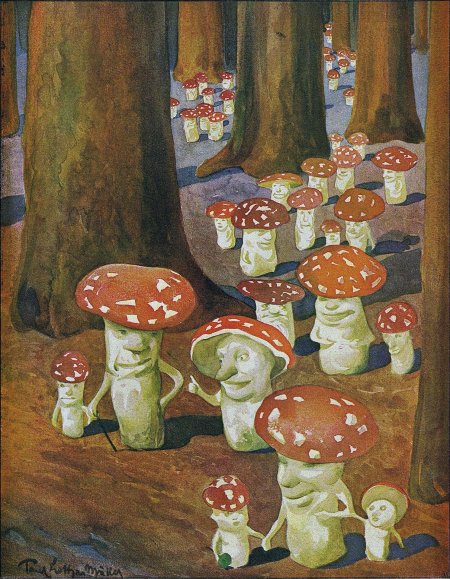 Картина amanita muscaria