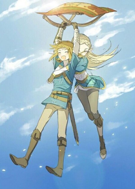 The legend of zelda breath wild зельда