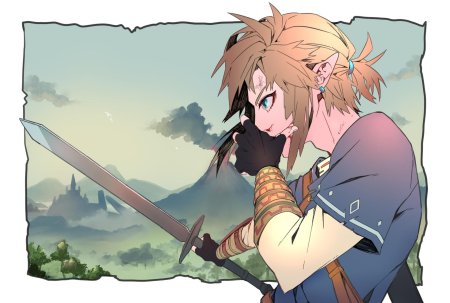 The legend of zelda breath wild link