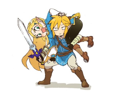 Zelda x link