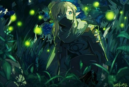 Линк зельда legend of wild