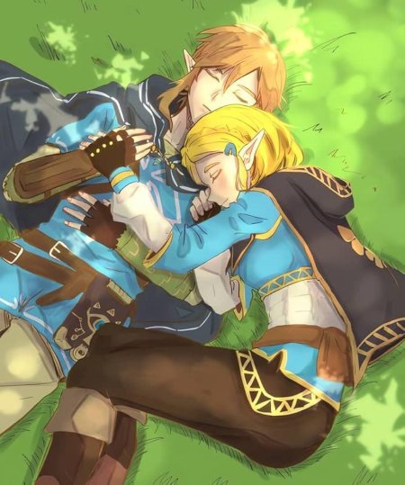 Zelda x link