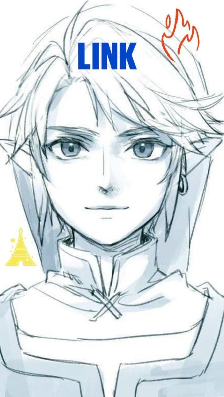 Legend of zelda link