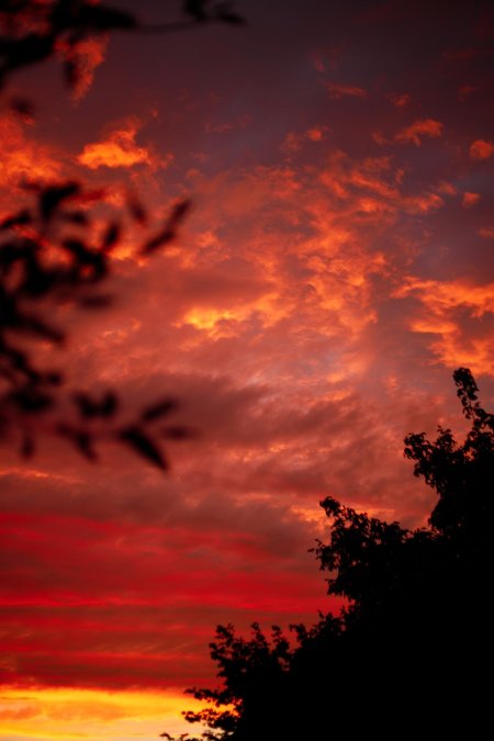 Кровавый закат