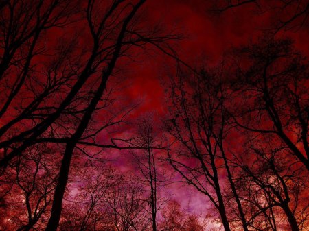 Кроваво красный