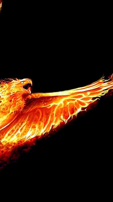 Птица феникс