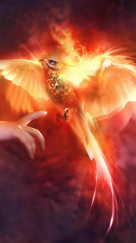 Птица феникс возрождается из пепла