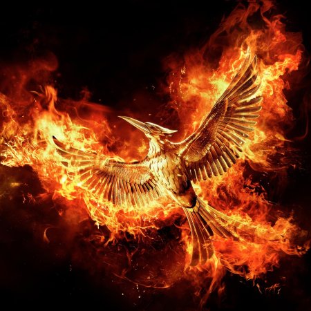 Голодные игры сойка пересмешница