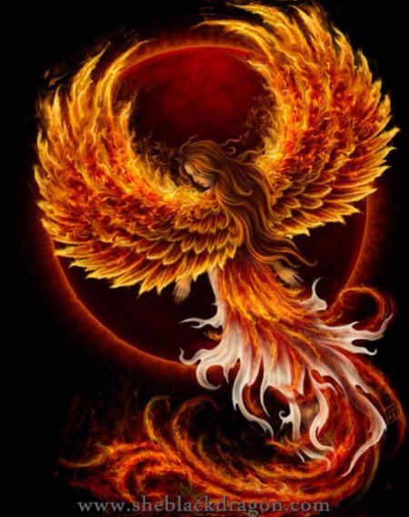 Сузаку дракон феникс