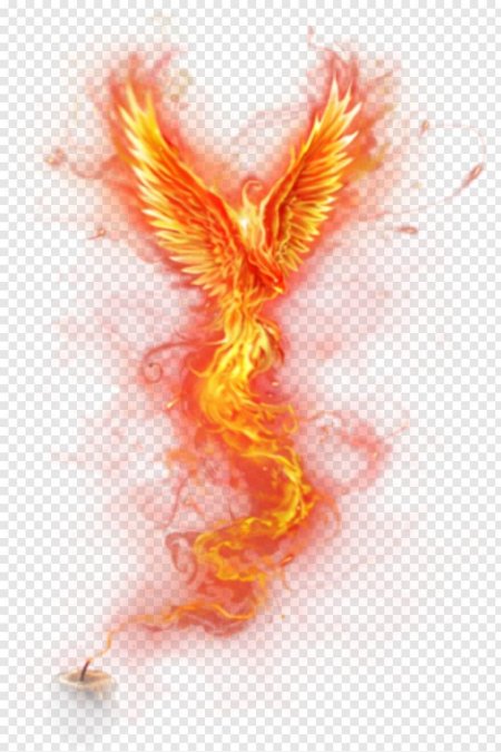 Феникс на белом фоне
